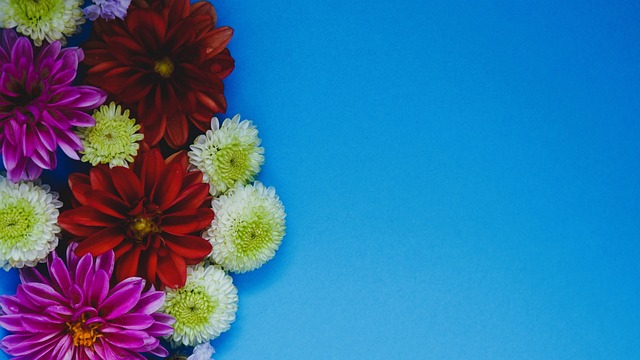 斯帕莱蒂：迪格雷戈里奥是一门；库普踢中卫就是为了参与进攻