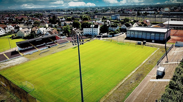 无疑是最引 无疑是最引