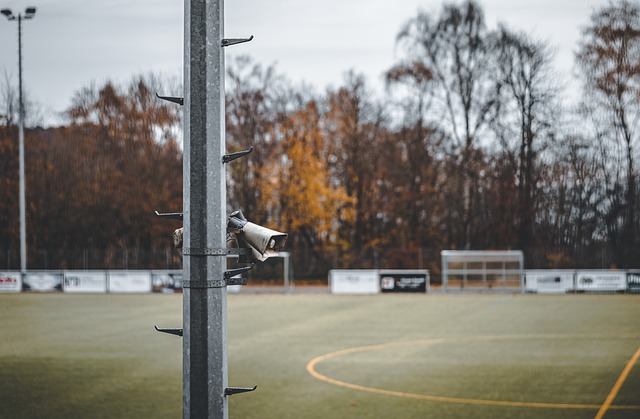 为未来的冬 为未来的冬