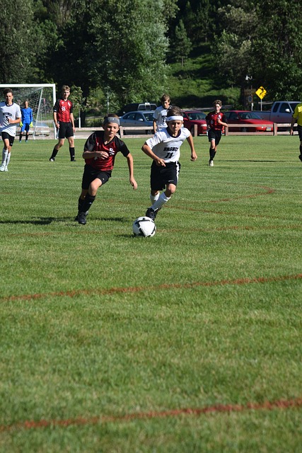 內馬爾等國 內馬爾等國